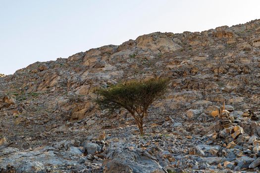 Landscape shot of the mountains in bright day