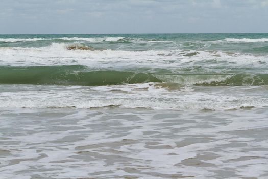 Brown pelicans near the shore of South Padre island, TX.