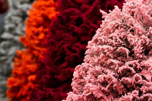 Flocked Christmas Tree with multi colors.