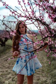 Young beautiful woman in blue dress and long hair is enjoying with blossoming peach trees.