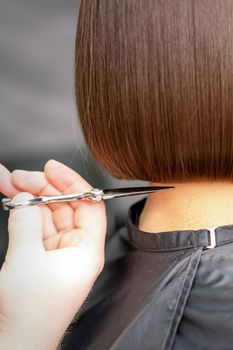 The hairdresser cuts the hair of a brunette woman. Hairstylist is cutting the hair of female client in a professional hair salon, close up