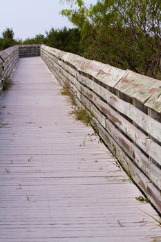 Board walk on South Padre Island, TX.