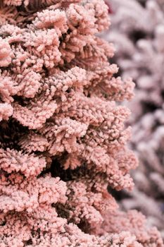 Flocked Christmas Tree with multi colors.