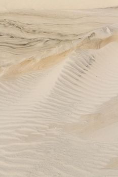Patterns in the sand on South Padre Island, TX.
