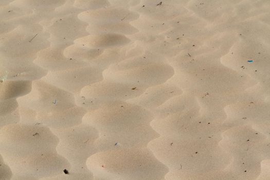 Patterns in the sand on South Padre Island, TX.