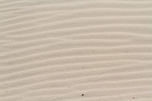 Patterns in the sand on South Padre Island, TX.