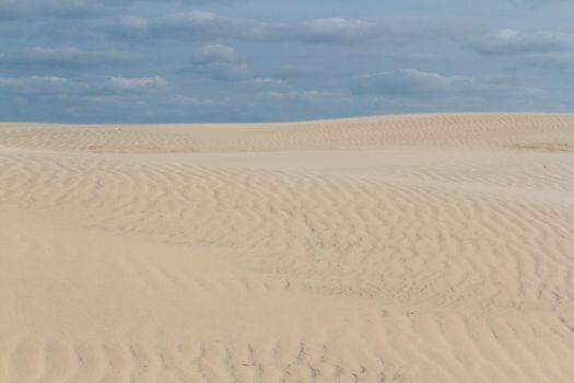 Coastal dunes of South Padre Island, TX.