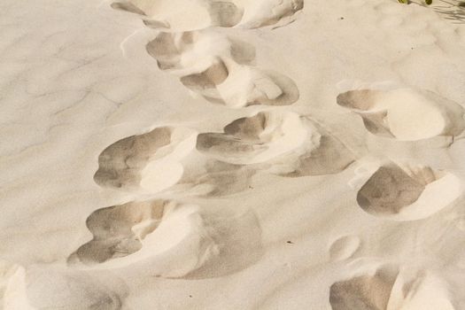 Footprints in sand of coastal dunes.