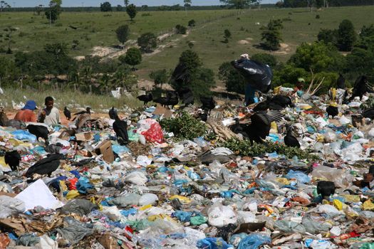 teixeira de freitas, bahia, brazil - may 5, 2008: person collecting material for recycling in a landfill in the city of teixeira de freita