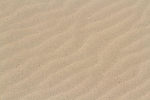 Patterns in the sand on South Padre Island, TX.