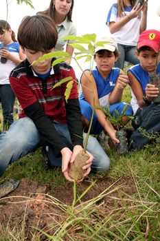 itamaraju, bahia brazil - june 19, 2009: child is seen planting tree in the city of Eunapolis.