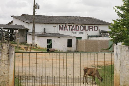 itamaraju, bahia, brazil - october 6, 2009: view of animal slaughterhouse in the city of Itamaraju.