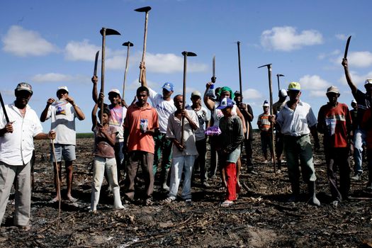 eunapolis, bahia / brazil - july 27, 2009: member of the Luta pela Terra Movement - MLT - are seen occupying a farm with eucalyptus plantations in the rural area of the city of Eunapolis.