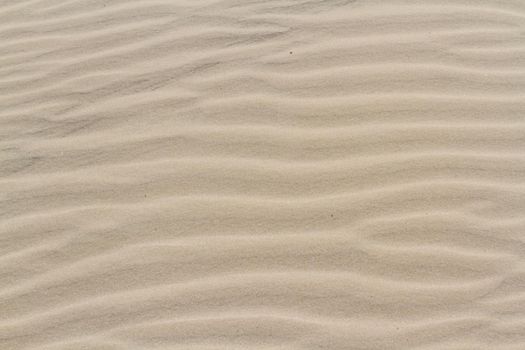 Patterns in the sand on South Padre Island, TX.