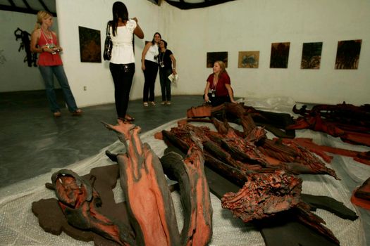 novo vicosa, bahia / brazil - september 3, 2009: Sculpture by visual artist and environmental activist Frans Krajcberg, is seen at Sitio Natura in Nova Vicosa.