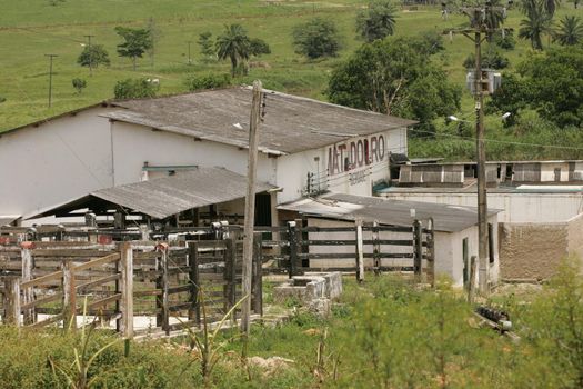 itamaraju, bahia, brazil - october 6, 2009: view of animal slaughterhouse in the city of Itamaraju.