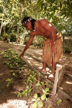 porto seguro, bahia, brazil - june 18, 2010: Indians of the Pataxos ethnic group are seen in Aldeia Jaqueira in the city of Porto Seguro.