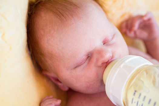 Newborn baby girl at feeding time.