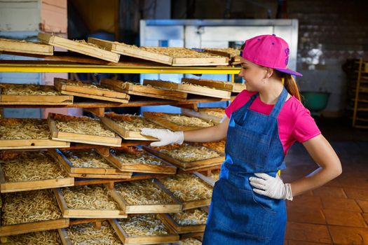 The girl is working on the production of spaghetti. Making noodles. Macaroni factory.