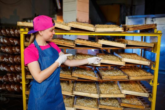 Worker with a box of pasta. The girl works on the production of spaghetti. Making noodles. Pasta factory.