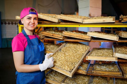 The girl is working on the production of spaghetti. Making noodles. Macaroni factory.