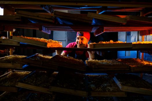 The girl works on the production of spaghetti. Making noodles. Pasta factory.