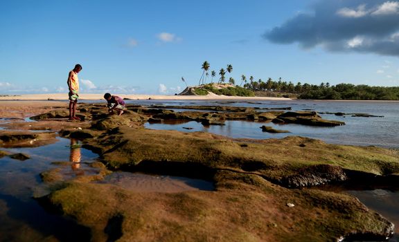 conder, bahia / brazil - February 25, 2015: Young man is seen at Barra do Itariri beach in the municipality of Conde, north coast of Bahia.

