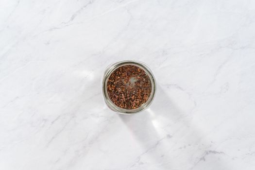 Day 1. Flat lay. Growing organic sprouts in a mason jar with sprouting lid on the kitchen counter.