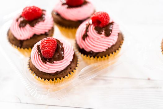 Packaging gourmet chocolate raspberry cupcakes into clear plastic boxes.