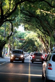 salvador, bahia / brazil - september 17, 2016: view of tree-lined street with centuries-old trees in the Corredor da Vitoria in the city of Salvador.







