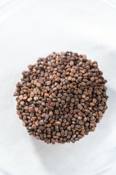 Day 1. Variety of seeds in a small glass bowl for growing sprouts in a jar.