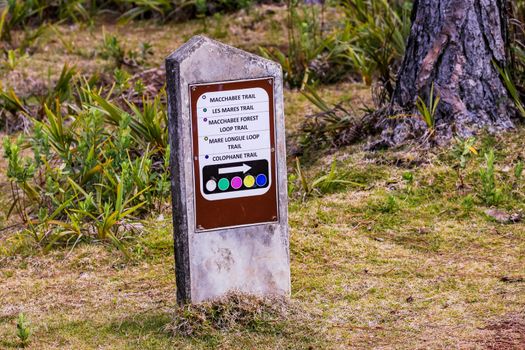 The nature along the hiking trails of the island of Mauritius in the Indian ouzean is lush and green