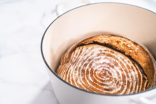 Freshly baked loaf of a wheat sourdough bread with marks from bread proofing basket in enameled cast iron dutch oven.