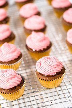 Frosting chocolate cupcakes with raspberry cream cheese buttercream.