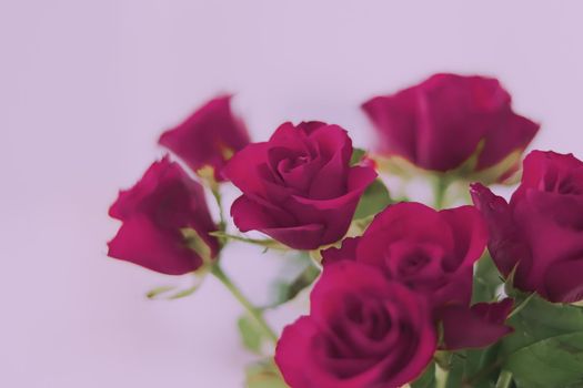 Tender bouquet of roses, floral gift and beautiful flowers closeup