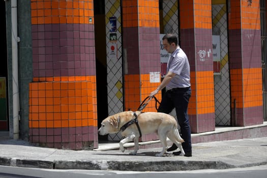 salvador, bahia, brazil - march 20, 2019: visually impaired uses a guide dog to get around in their work activities in the city of Salvador.