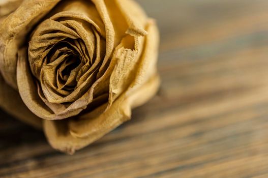 Pile of pink dried roses on old rustic wooden background as border.