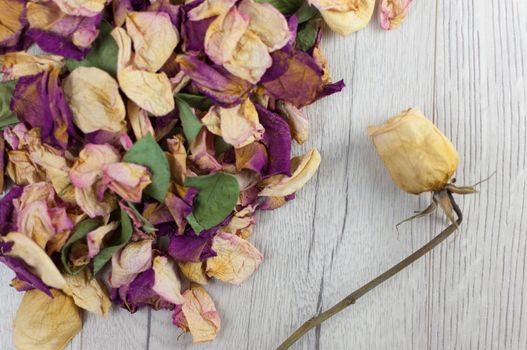 bouquet dried roses on wood background with copy space