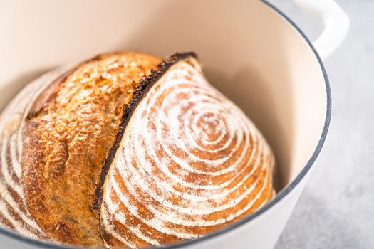 Freshly baked loaf of a wheat sourdough bread with marks from bread proofing basket in enameled cast iron dutch oven.