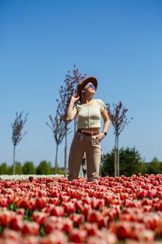 A beautiful slender woman in a hat stands in a blooming field of tulips. Spring time