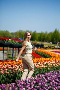 A girl in a white dress runs among the tulips. Field with yellow and red tulips.