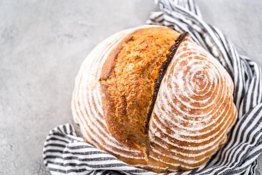 Freshly baked loaf of a wheat sourdough bread with marks from bread proofing basket.