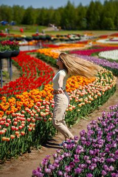 A girl in a white dress runs among the tulips. Field with yellow and red tulips.