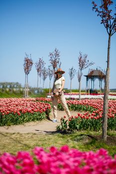 A beautiful slender woman in a hat stands in a blooming field of tulips. Spring time