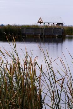 Bird blind on South Padre Island, TX.