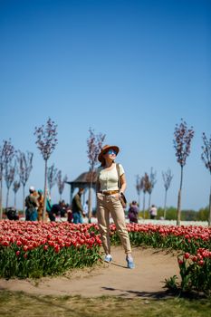 A beautiful slender woman in a hat stands in a blooming field of tulips. Spring time