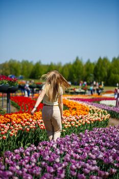 A girl in a white dress runs among the tulips. Field with yellow and red tulips.