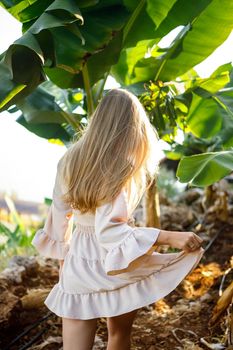 Woman near a large green leaf of a banana tree in nature in the park. Tropical plants and attractive girl walking