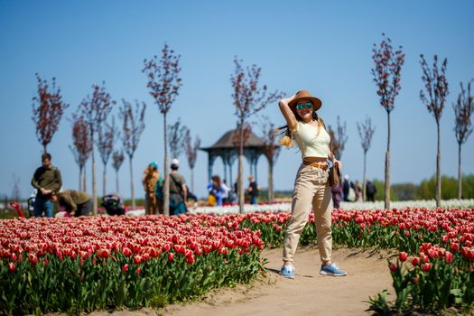 A beautiful slender woman in a hat stands in a blooming field of tulips. Spring time