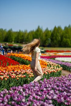 A girl in a white dress runs among the tulips. Field with yellow and red tulips.